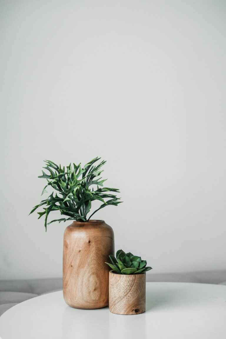 linh-le-giP0e750Dr8-unsplash